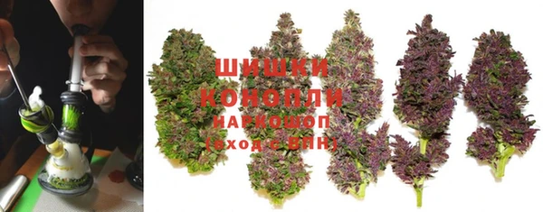 ГАЛЛЮЦИНОГЕННЫЕ ГРИБЫ Алексеевка