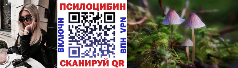 дарнет шоп  Багратионовск  MEGA зеркало  Галлюциногенные грибы ЛСД 